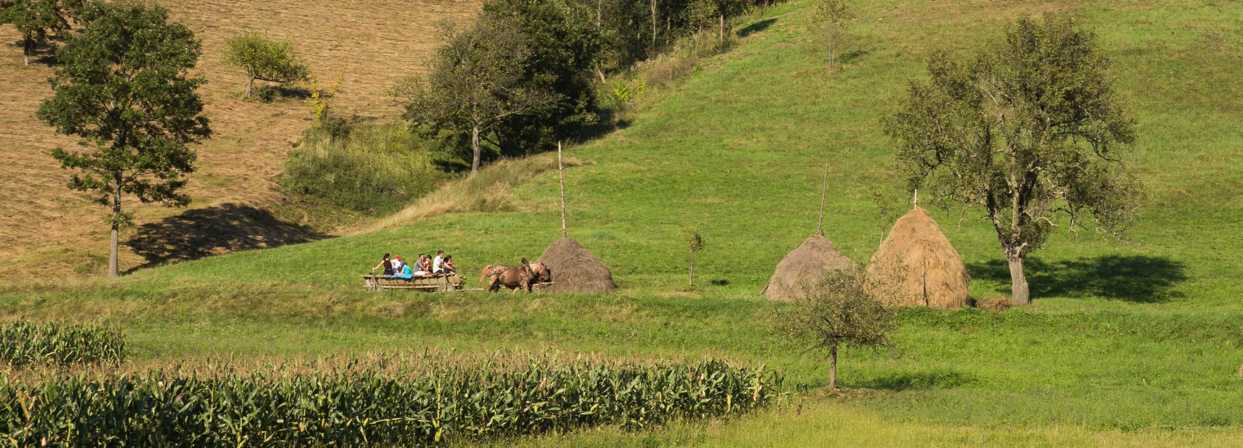 Výlet do Banátu 2016