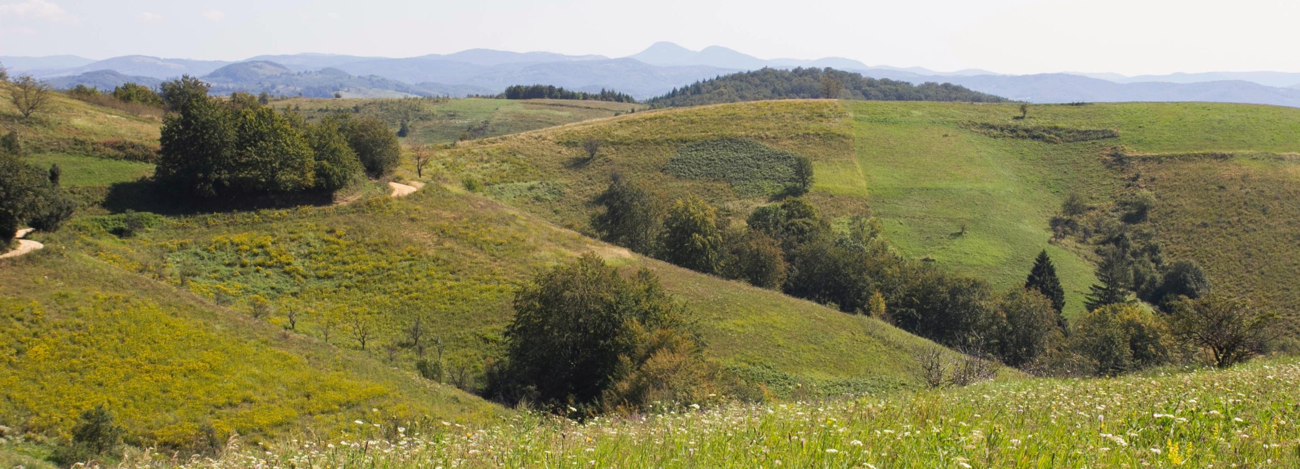Výlet do Banátu 2016