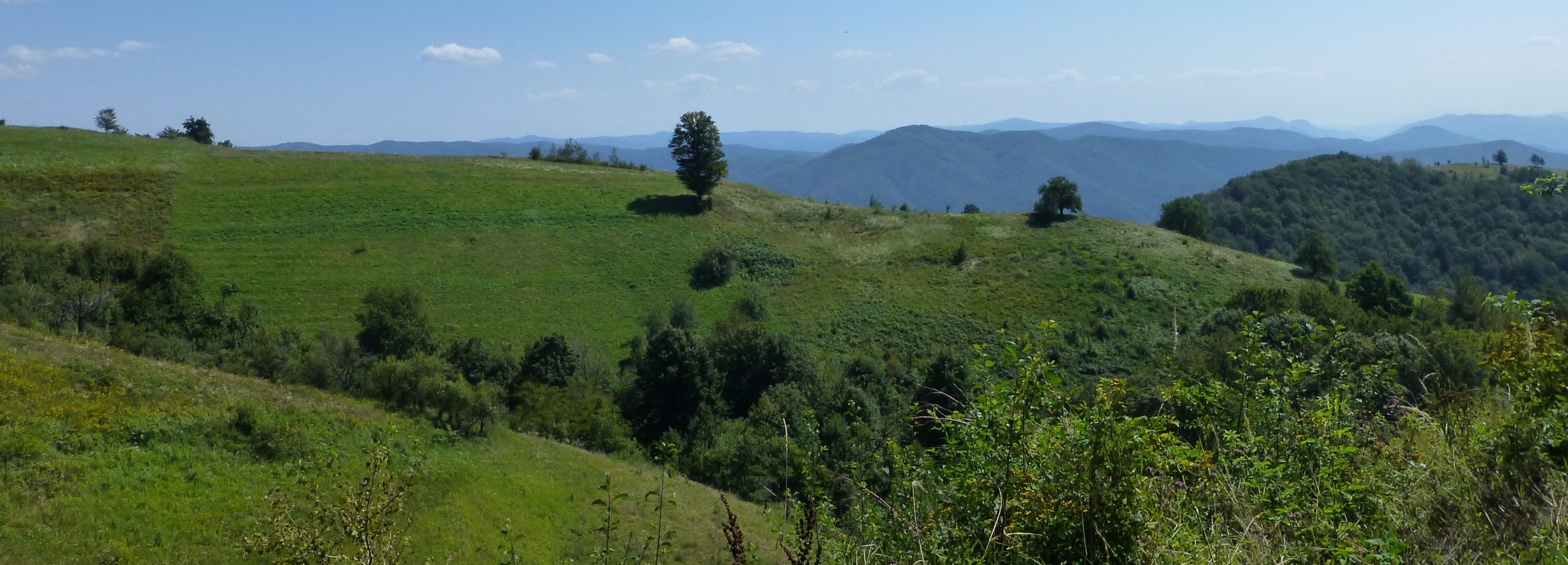 Výlet do Banátu 2016