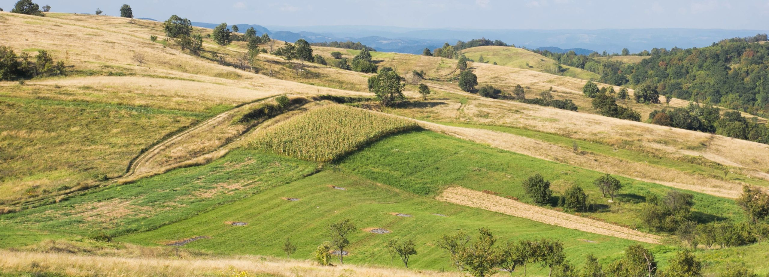 Výlet do Banátu 2016