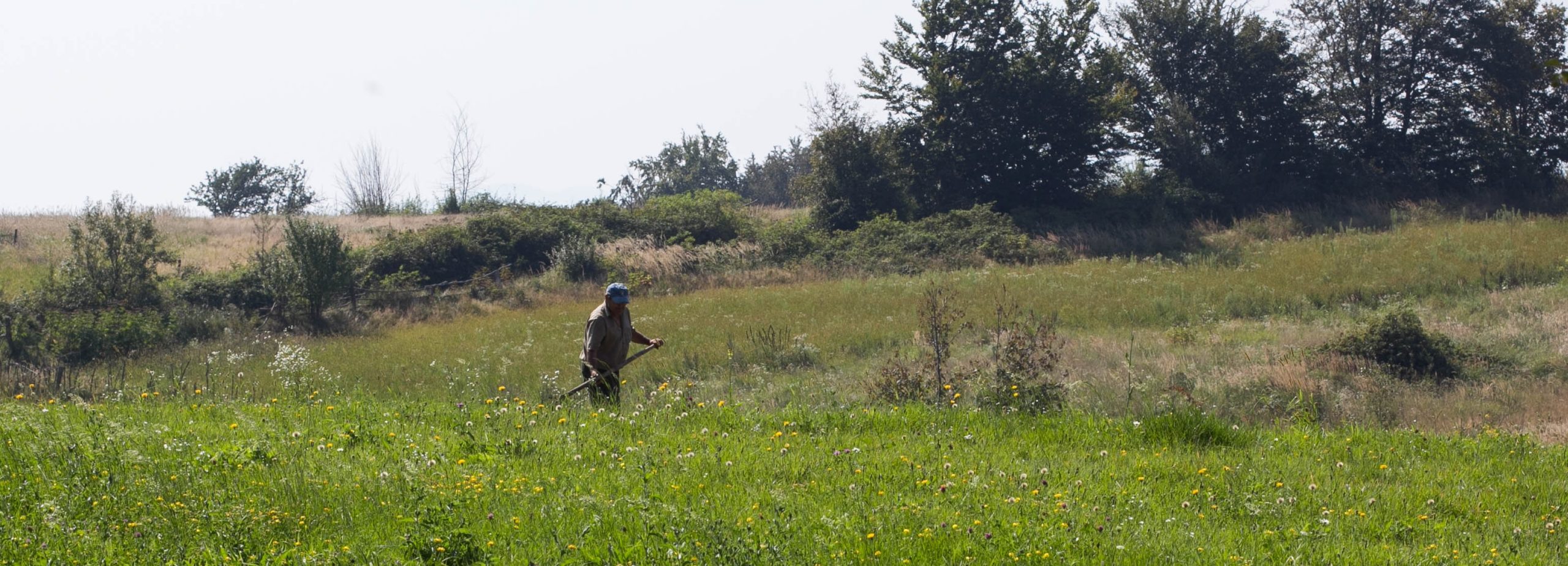 Výlet do Banátu 2016